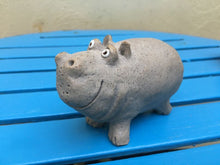 John Hilder Hippos